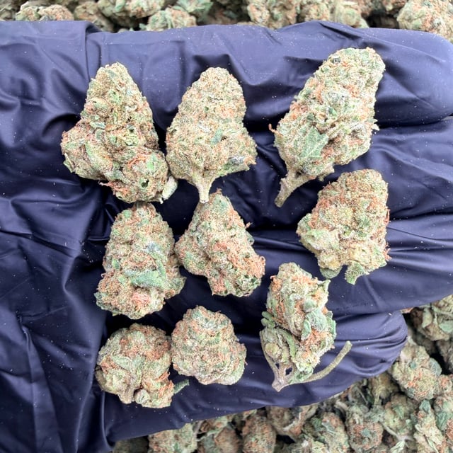 Lizard Burger THCa flower nug