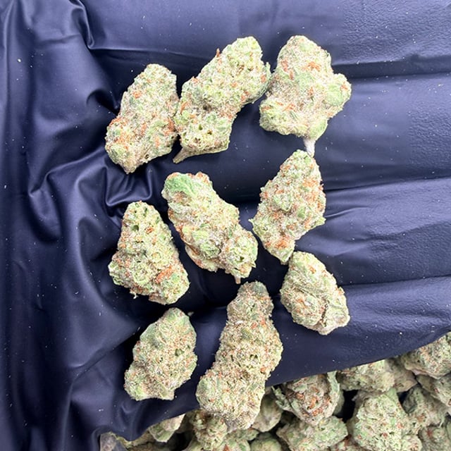 Papaya Punch THCa flower nug