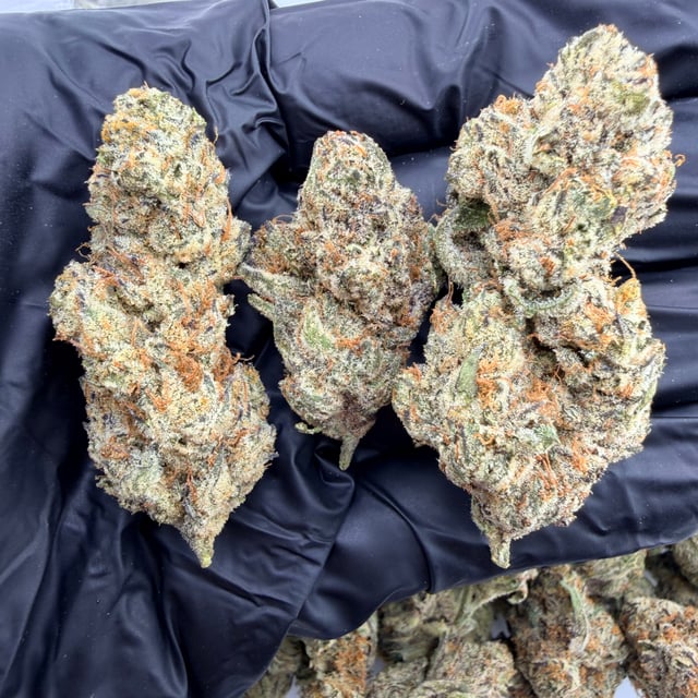 Parisian Kush THCa flower nug