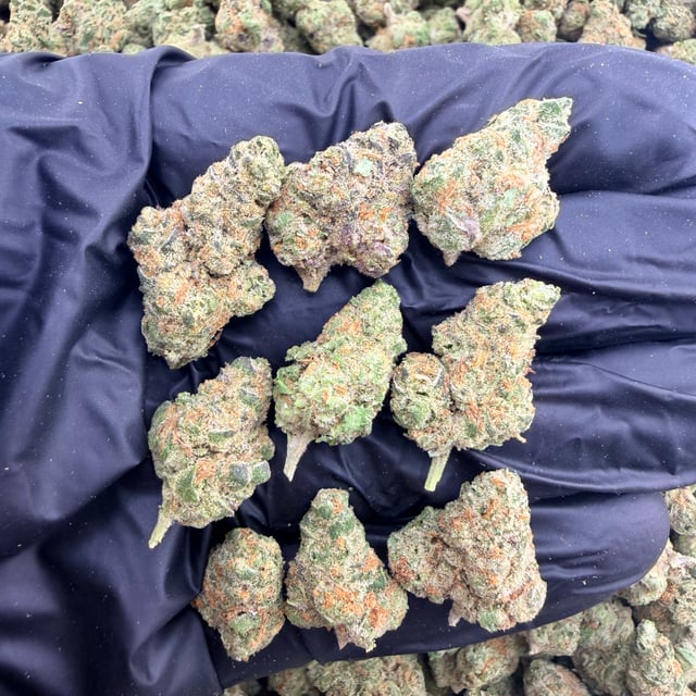 Peanut Butter Breath THCa flower nug