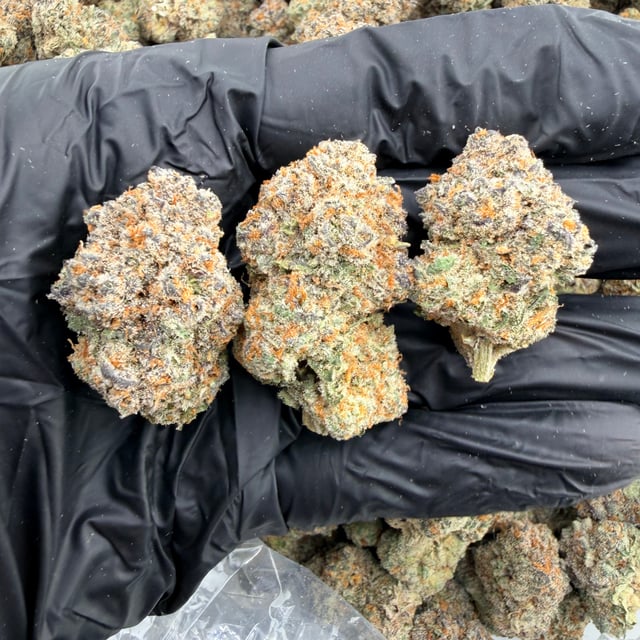 Prickly Pear THCa flower nug