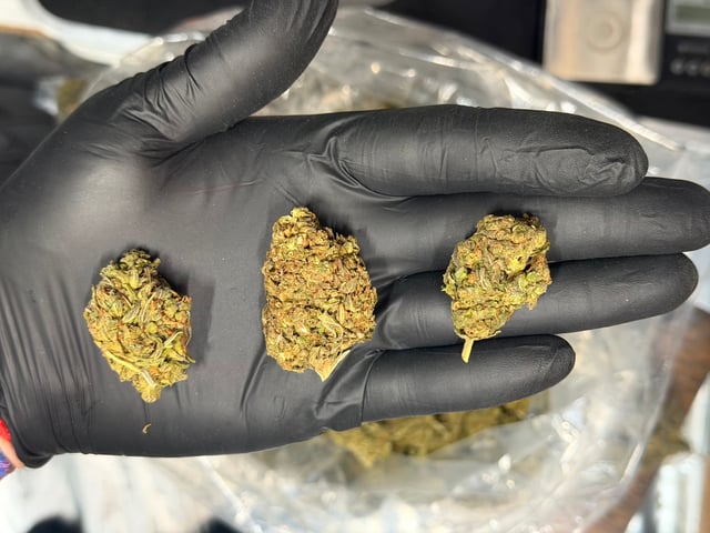 Purple Ice Drop THCa flower nug