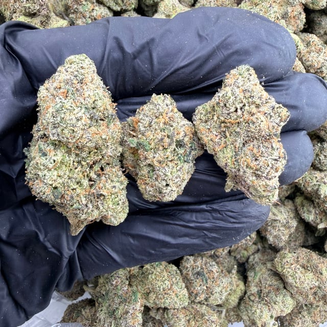 Purple Reign Runtz THCa flower nug