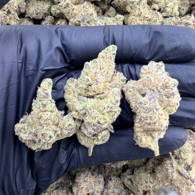 Razzle Dazzle THCa flower nug