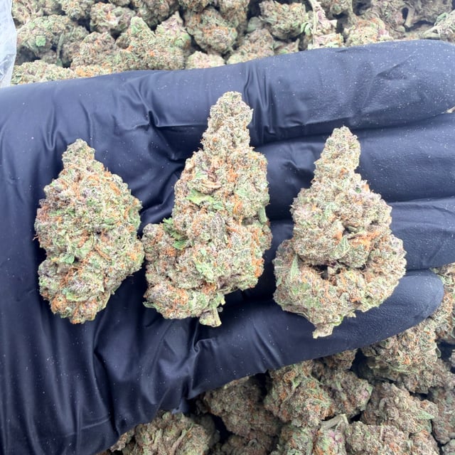 Trop Cherry THCa flower nug