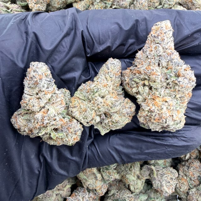 Tropical Runtz THCa flower nug