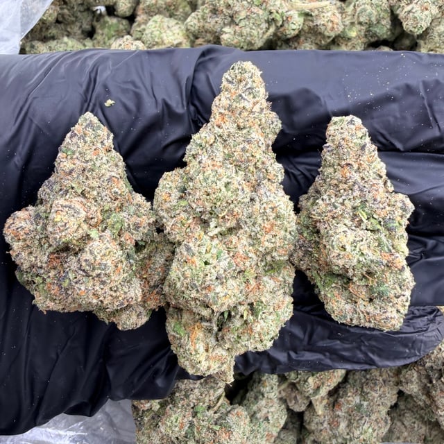 White Walker OG THCa flower nug