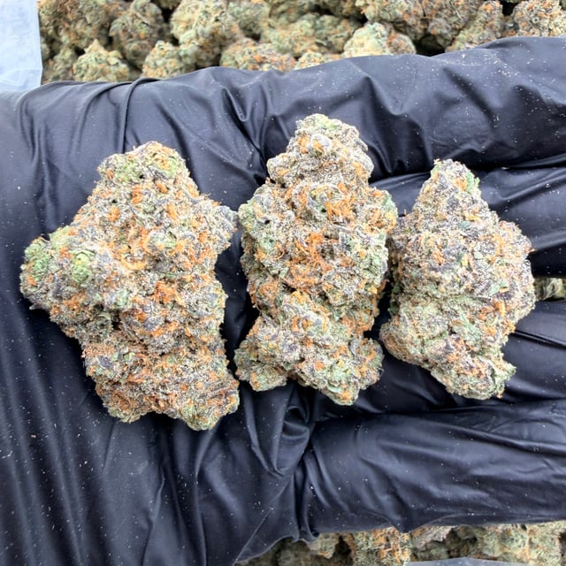 Zuava THCa flower nug