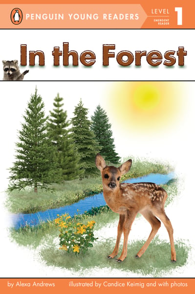 In The Forest