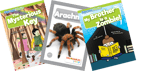 Phonics Take Home Pack, Grade 3 Phonics 740L-940L