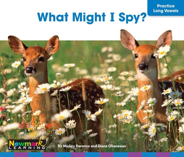 What Might I Spy?