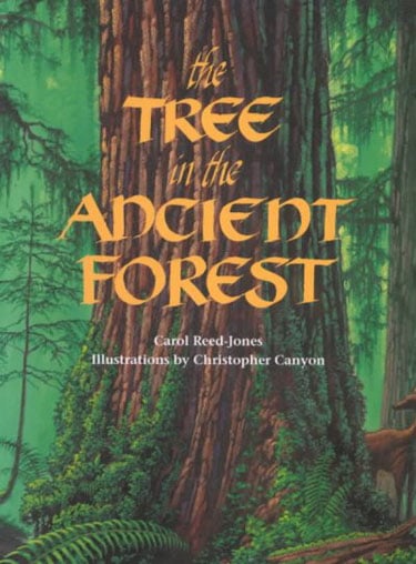 Tree In The Ancient Forest, The