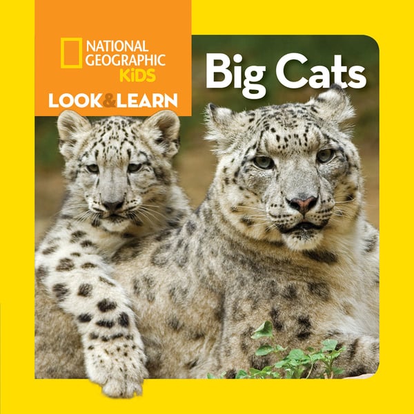 Big Cats (Board Book)