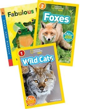 Level L Nonfiction Animals