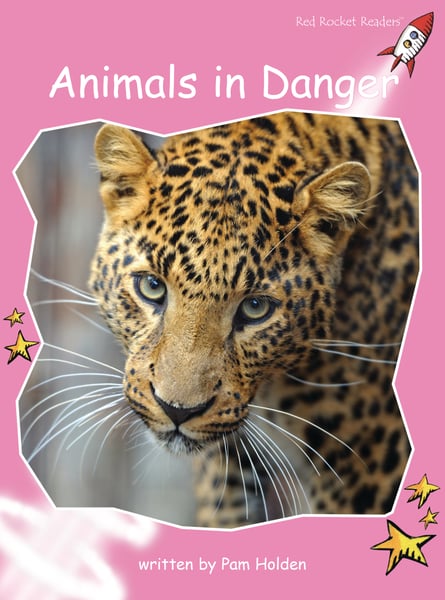 Animals In Danger