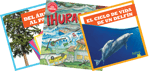 Science Kindergarten Spanish