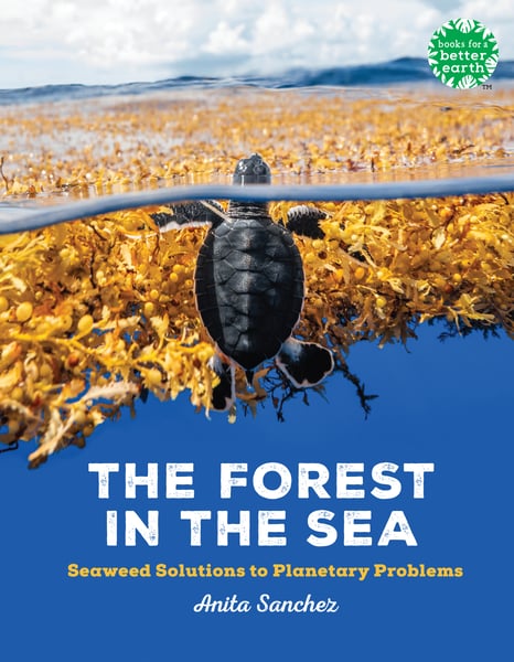Forest In The Sea: Seaweed Solutions To Planetary Problems, The