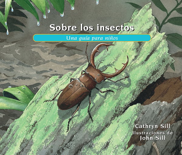 Sobre Los Insectos (About Insects)