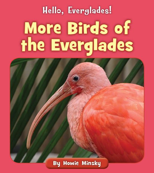 More Birds Of The Everglades