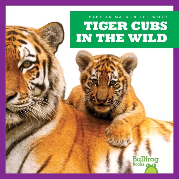 Tiger Cubs In The Wild