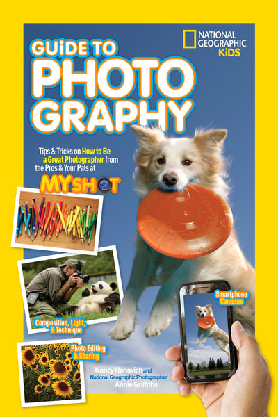 Guide To Photography