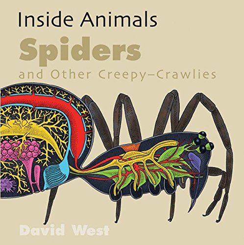 Spiders And Other Creepy-Crawlies