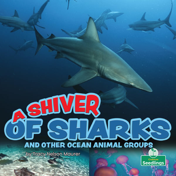 Shiver Of Sharks And Other Ocean Animal Groups, A