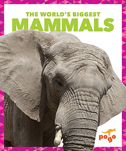 World's Biggest Mammals, The