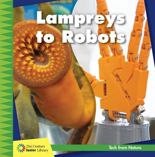 Lampreys To Robots
