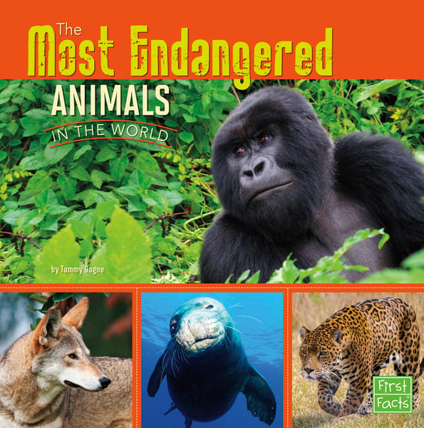 Most Endangered Animals In The World, The