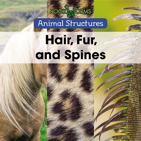 Hair, Fur, And Spines