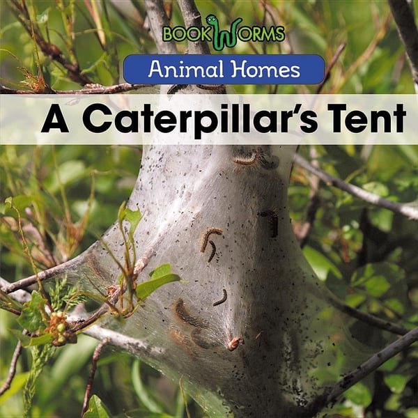 Caterpillar's Tent, A