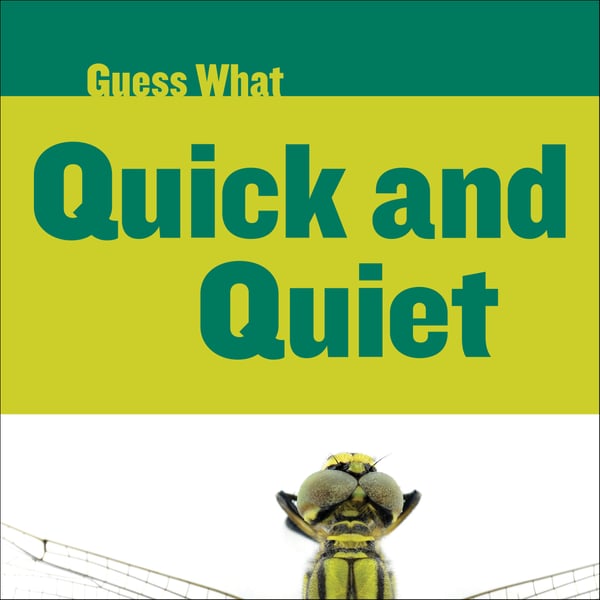 Quick And Quiet