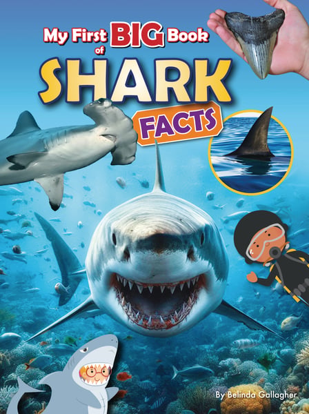 My First Big Book Of Shark Facts
