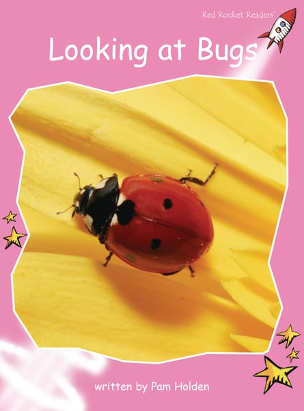 Looking At Bugs