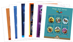 Collections by Program