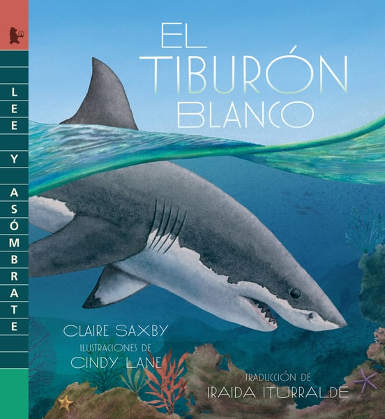 El Tiburon Blanco (Great White Shark)