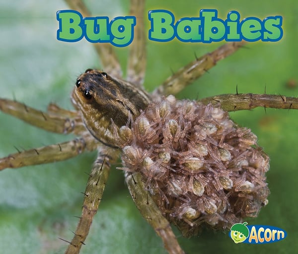 Bug Babies