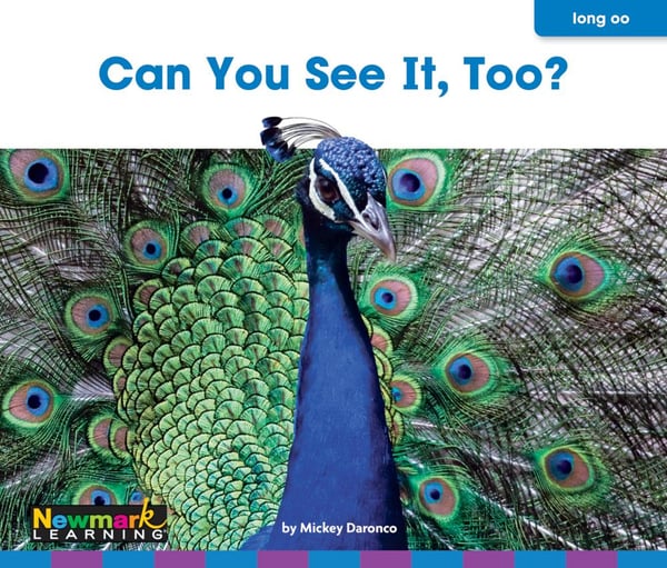 Can You See It, Too?
