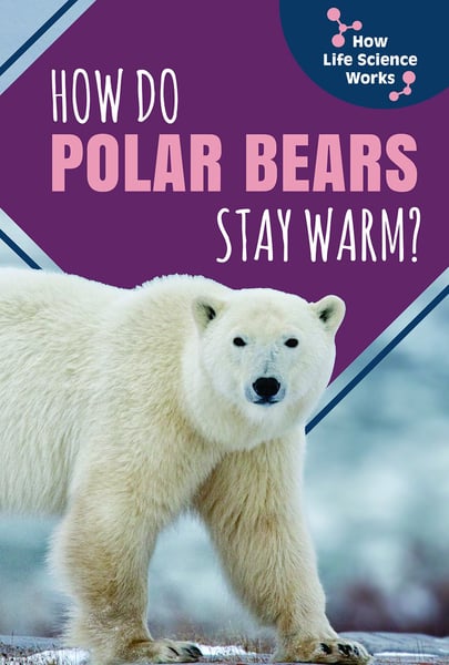 How Do Polar Bears Stay Warm?