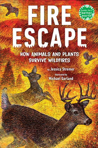 Fire Escape: How Animals And Plants Survive Wildfires