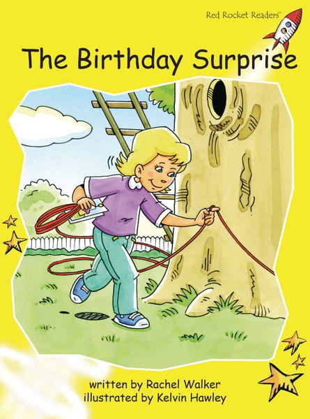Birthday Surprise