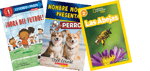 Take Home Pack, Kindergarten High Interest (Spanish)