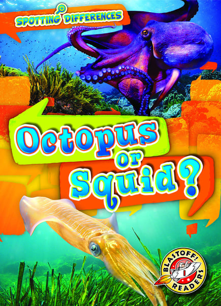 Octopus Or Squid?
