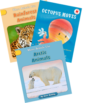 New Leveled Reads A-D 6-Pack