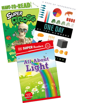 Knowledge Building Grade 1