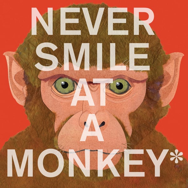 Never Smile At A Monkey: And 17 Other Important Things To Remember