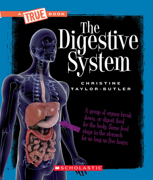 Digestive System, The