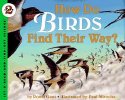 How Do Birds Find Their Way?