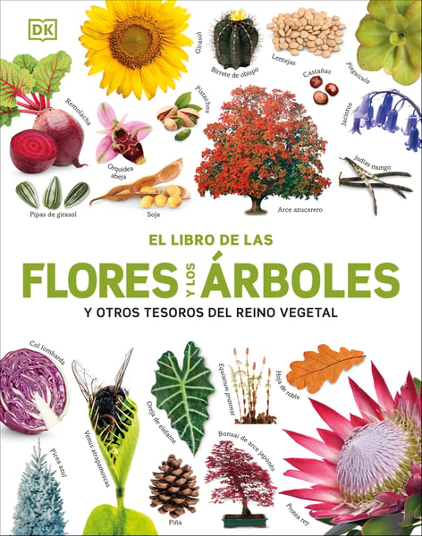 El Libro De Las Flores Y Los Arboles (Our World In Pictures: Trees, Leaves, Flowers & Seeds)